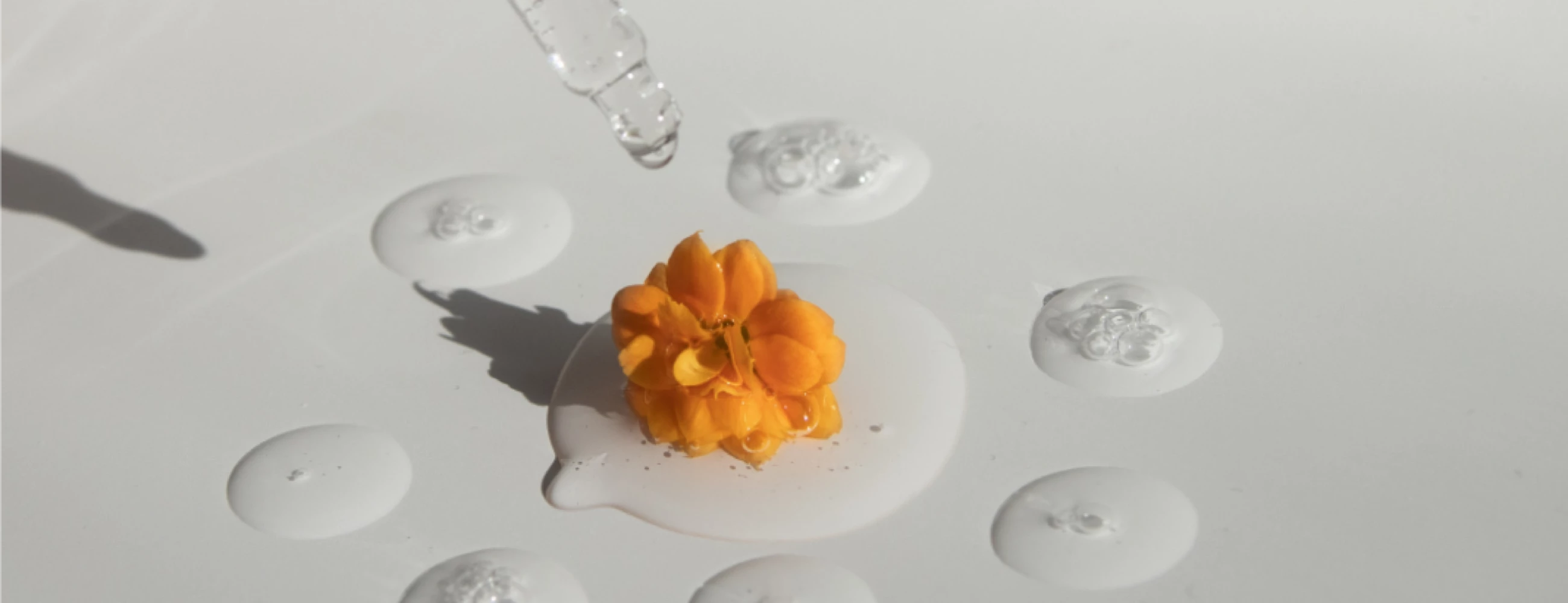 Funzionalità microcircolo